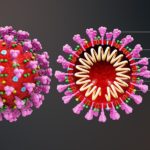 Difference Between Coronavirus and Influenza